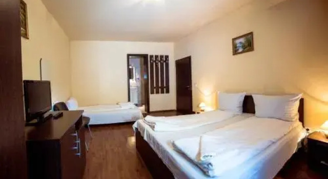 Pensiunea Alpin, Book Hotel Gura Raului 