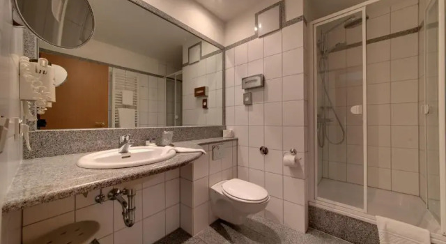 Одноместный номер Standard Hotel Merkur