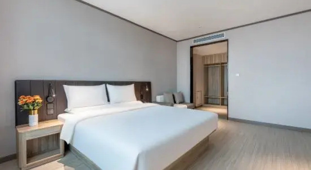 Люкс Deluxe HanTing Hotel (Longxi Qiaonan)