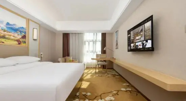 Люкс Business Vienna International Hontel (Maoming High-speed Railway Station Yangling Branch)