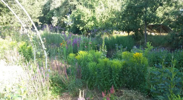 De Geheime Tuin - Boshuis