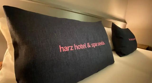 Двухместный номер Standard Harz Hotel & Spa Seela