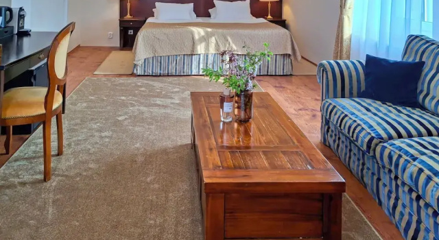 Номер Standard Villa Patriot Apartmány