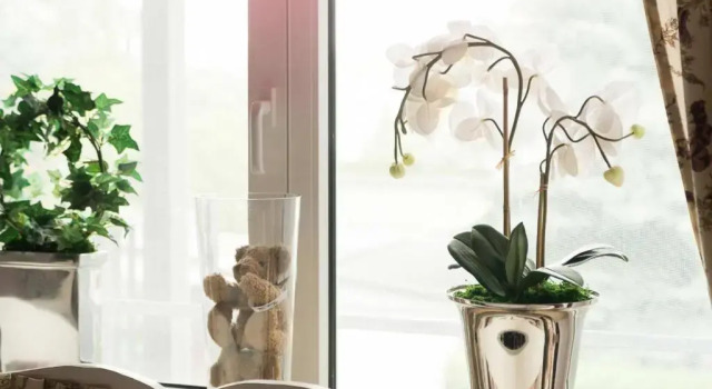 Апартаменты Hartha Appartment Brigitte