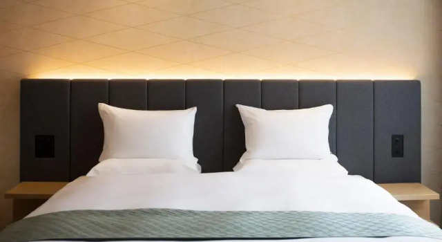 Двухместный номер Premier Nikko Style Nagoya