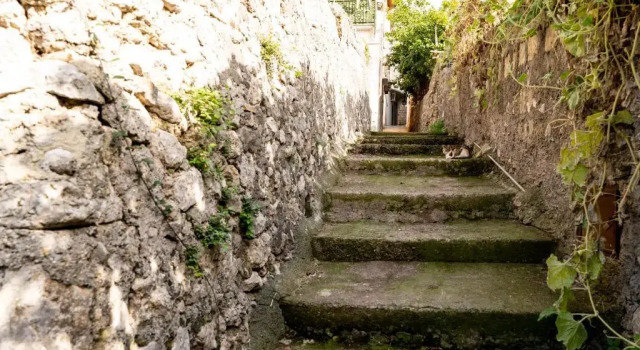 Номер Standard Agriturismo Casa Scola