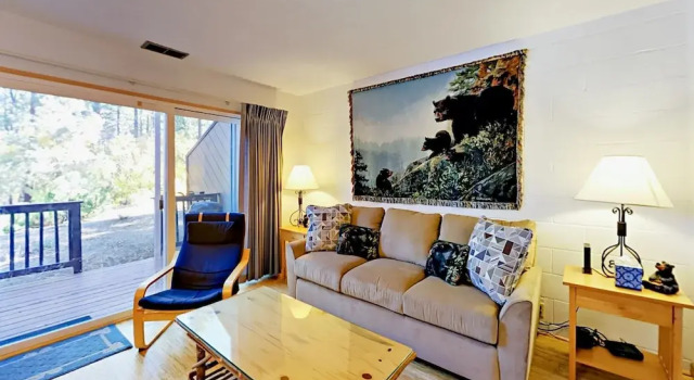 1410 Ski Run Blvd Condo Unit 3