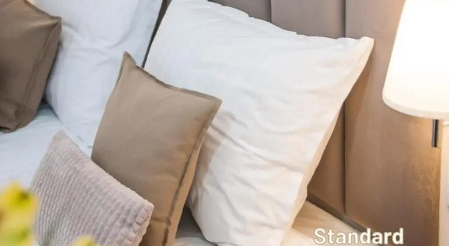 Двухместный номер Standard Hotel AWO