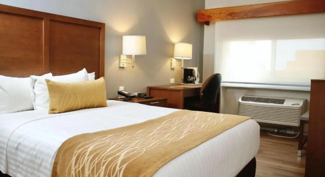 Двухместный номер Standard Comfort Inn Monterrey Valle