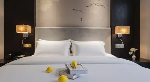 Люкс Rose Holiday Hotel