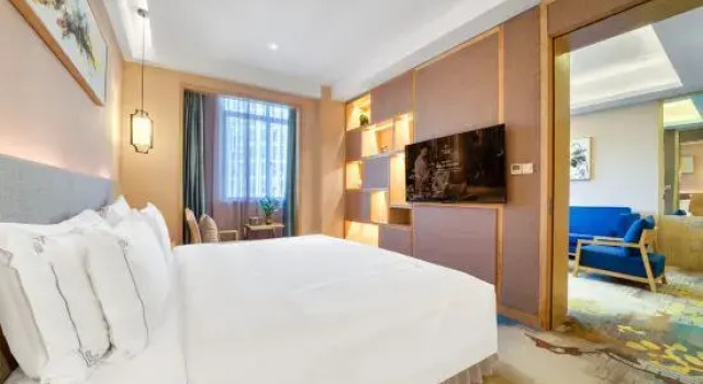 Люкс Deluxe Teckon Xiyue Hotel (Ningbo Railway Station Lishe International Airport)