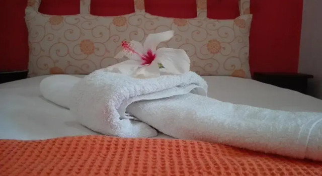 Апартаменты c 1 комнатой Plumeria Flowery