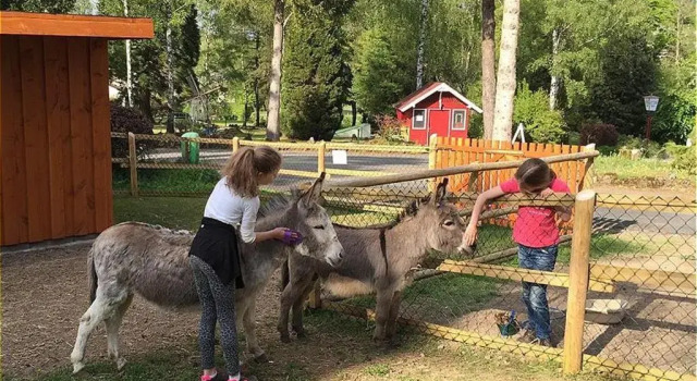 Vulkaneifel Type B, Varaa Hotelli Gerolstein Vulkan Eifel