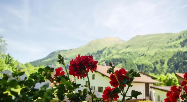Номер Standard Haus Kohlberghof