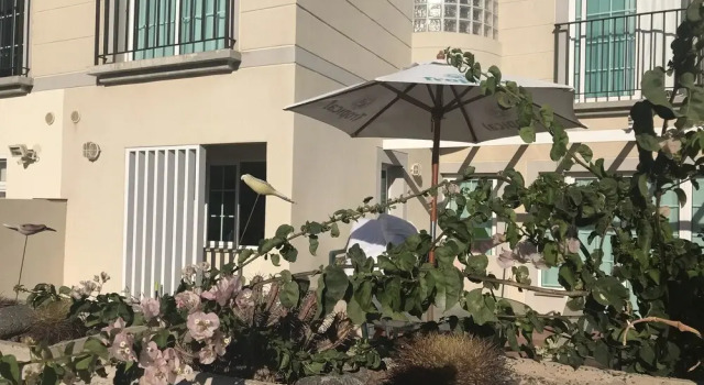 Apartment With 3 Bedrooms in El Chaparral, With Wonderful sea View, Po, Prenota Appartamento Hotel a Gran Canaria con piscina, Piscina