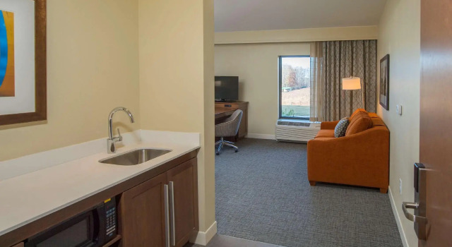 Двухместный номер Standard Hampton Inn & Suites Braselton