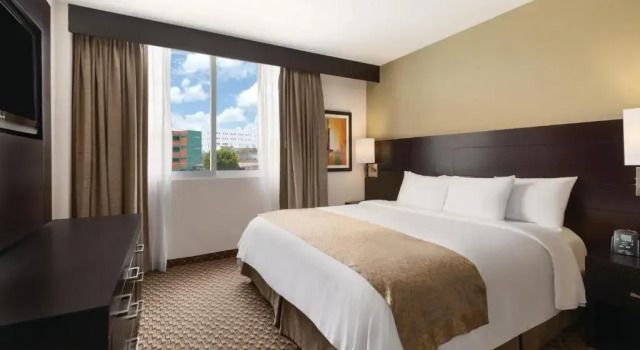 Номер Standard DoubleTree by Hilton Queretaro