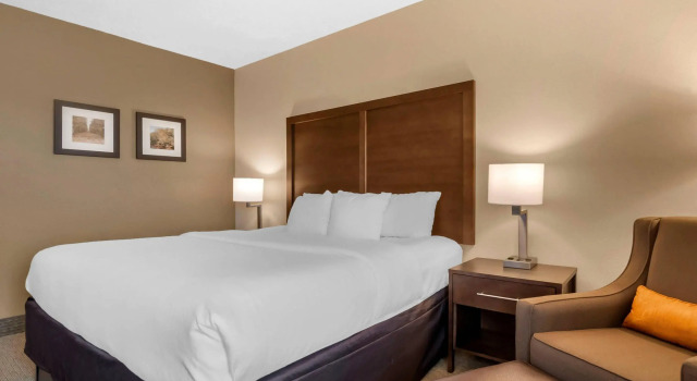 Двухместный номер Standard Comfort Inn Macon
