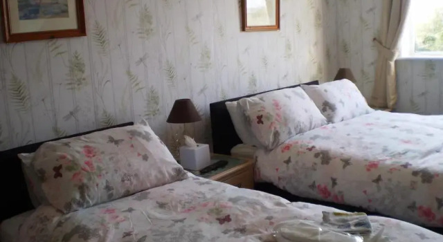 Номер Standard Sportsmans Lodge Bed and Breakfast