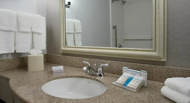 Номер Standard Hilton Garden Inn Sonoma County Airport