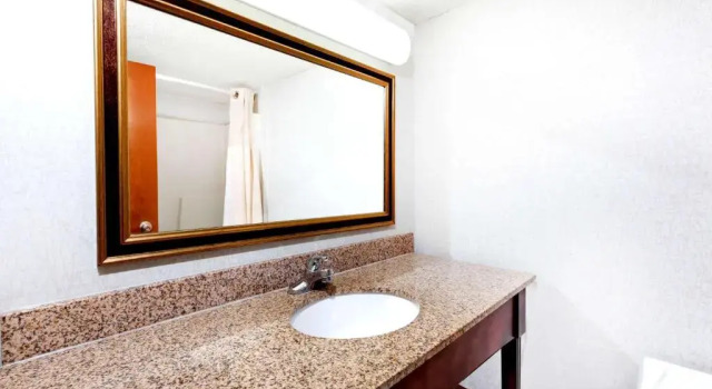 Habitación Estándar Ramada by Wyndham Lansing Hotel & Conference Center
