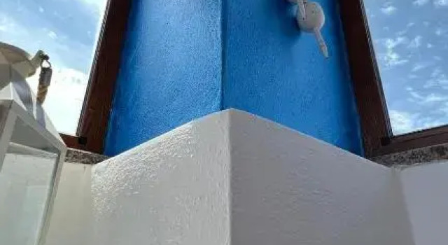 Il Pesce e il Geco