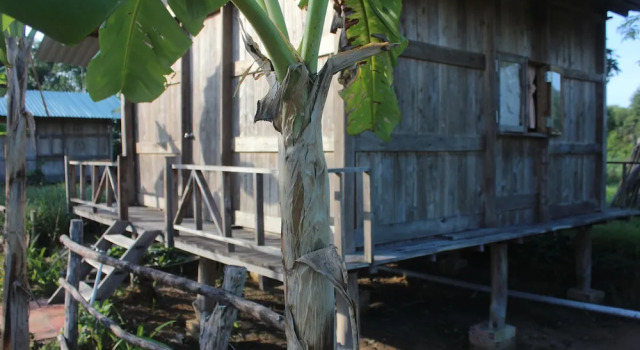 Четырёхместное бунгало Pepper Farm Phu Quoc Bungalow