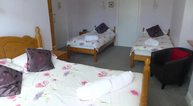 Семейный номер Standard Thorneyfield Guest House