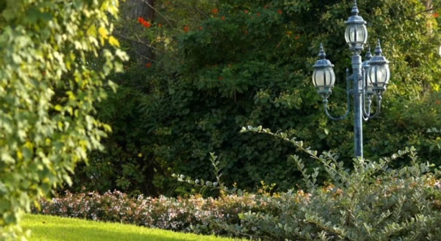 Двухместный номер Superior Barradas Parque Hotel & Spa