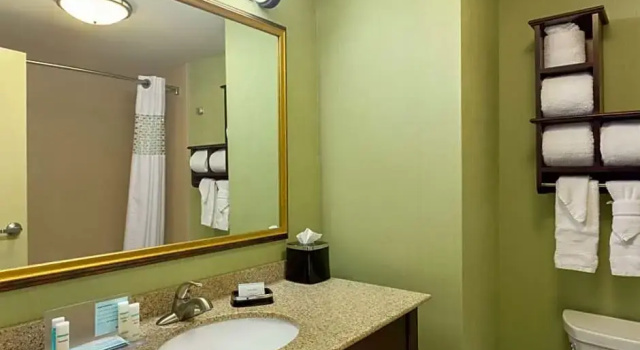 Двухместный люкс Hampton Inn & Suites Prattville