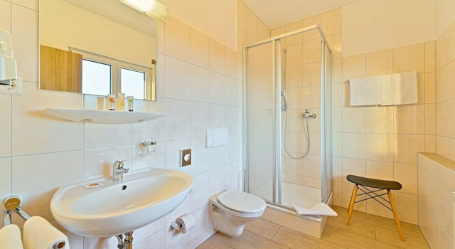 Люкс Sapia Hotel St. Fridolin