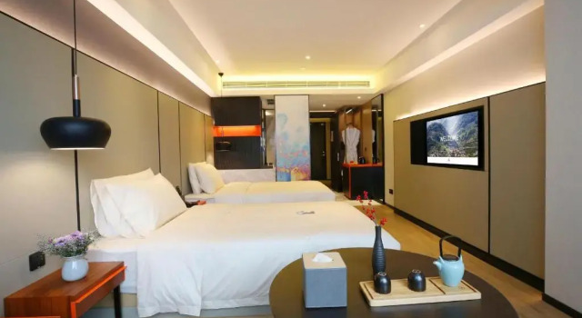 Двухместный номер Superior Atour S Hotel Chengdu Taikoo Li