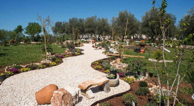 Апартаменты с 3 комнатами 16 Trulli e Giardini