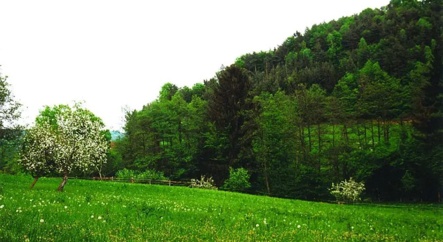 Полулюкс Landhaus Waldfrieden