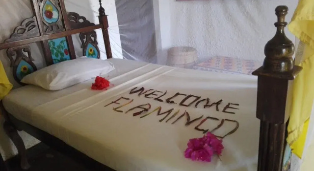 Одноместный номер Economy с красивым видом из окна Flamingo Villas Resort