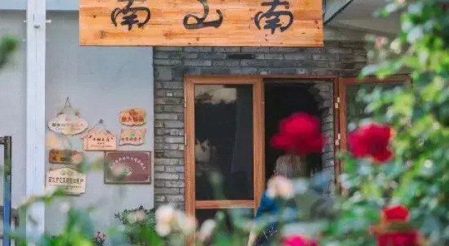 Songyang Nanshan Nanhuayuan Meisu