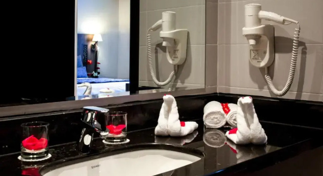 Двухместный номер Standard Sky Casa Airport
