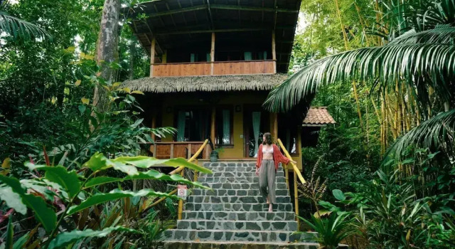Четырёхместный люкс Luxury Copa De Arbol Beach & Rainforest Resort