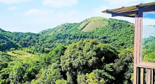 Номер Deluxe Coorg Tree House