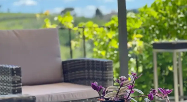 Agriturismo Montemagni di Sopra, Забронировать Фермерский дом Отели Греве-ин-Кьянти с завтраком, Завтраки