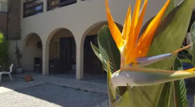 Santo Quintal Hostel