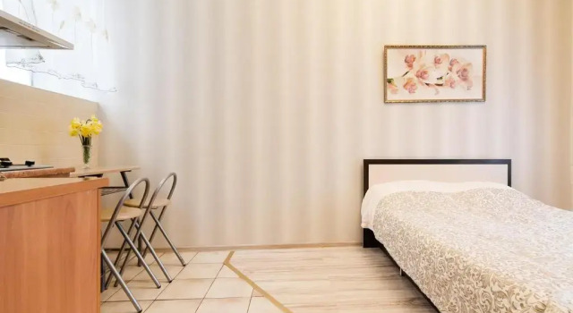 Best Apartment in the city centre, Забронировать Апартаменты/квартира Апартаменты Одессы, рядом с Одесский музей нумизматики, Апартаменты/квартира