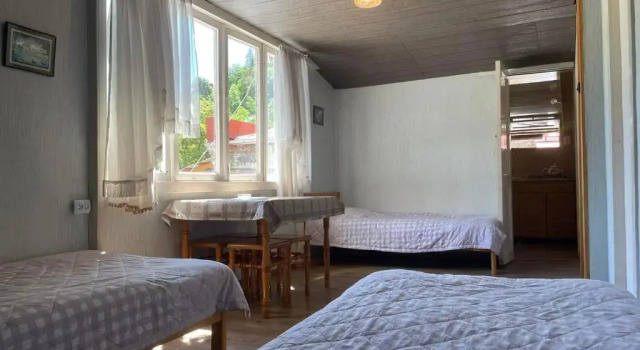 Семейный номер Standard с видом на горы Emmas Guesthouse in Borjomi