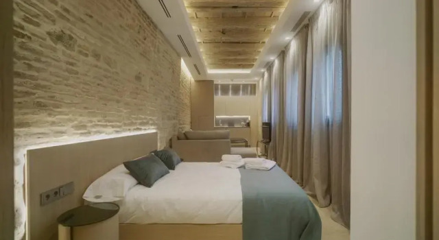 Студия Standard Apartamentos Los Patios del Pañuelo