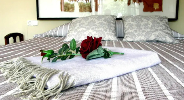 Masia Mas Sibils, Book Hotel Castell-Platja d'Aro Girona