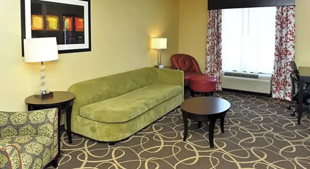 Полулюкс Standard Hilton Garden Inn Atlanta/Peachtree City