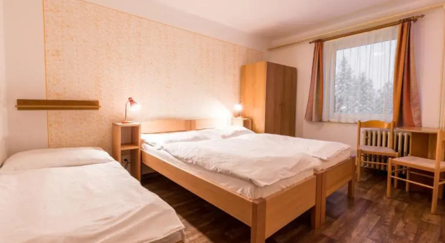 Семейный люкс Hotel Gradl