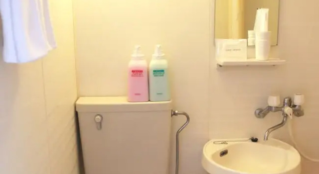 Номер Standard Asia Hotel Narita