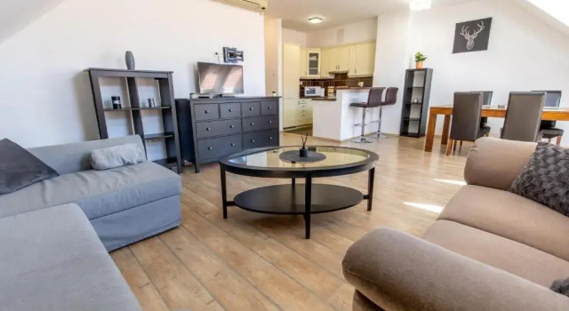 Апартаменты Gozsdu White Raven Residence 305