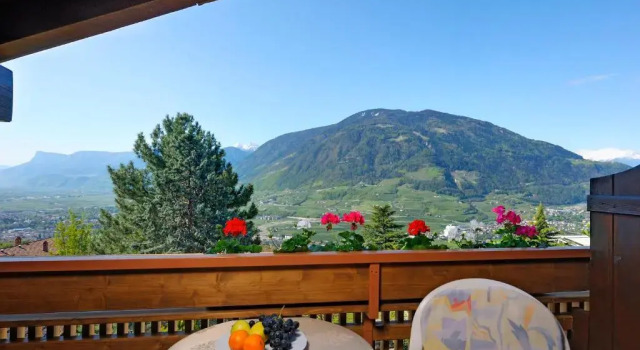Номер Standard Hotel Tirol